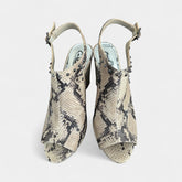 Carlos by Carlos Santana (Snake Print) - Size 11